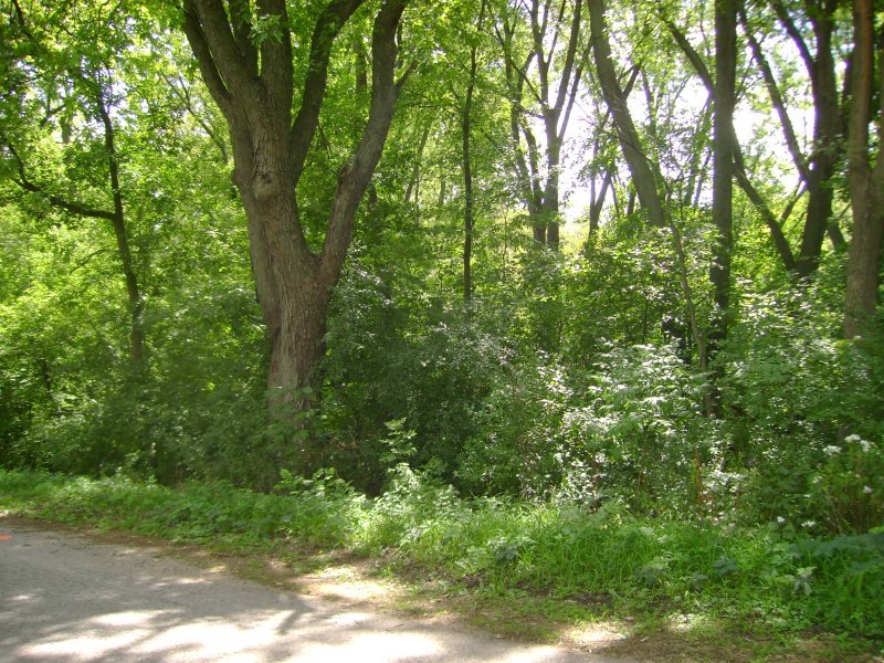 22-25 Lake Road Delavan, WI 53115 - Photo 1 of 1 lot