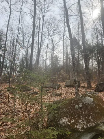 $68,000 | 0 Attleboro Mountain Road, Richmond, NH 03470