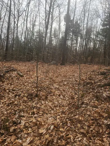 $68,000 | 0 Attleboro Mountain Road, Richmond, NH 03470