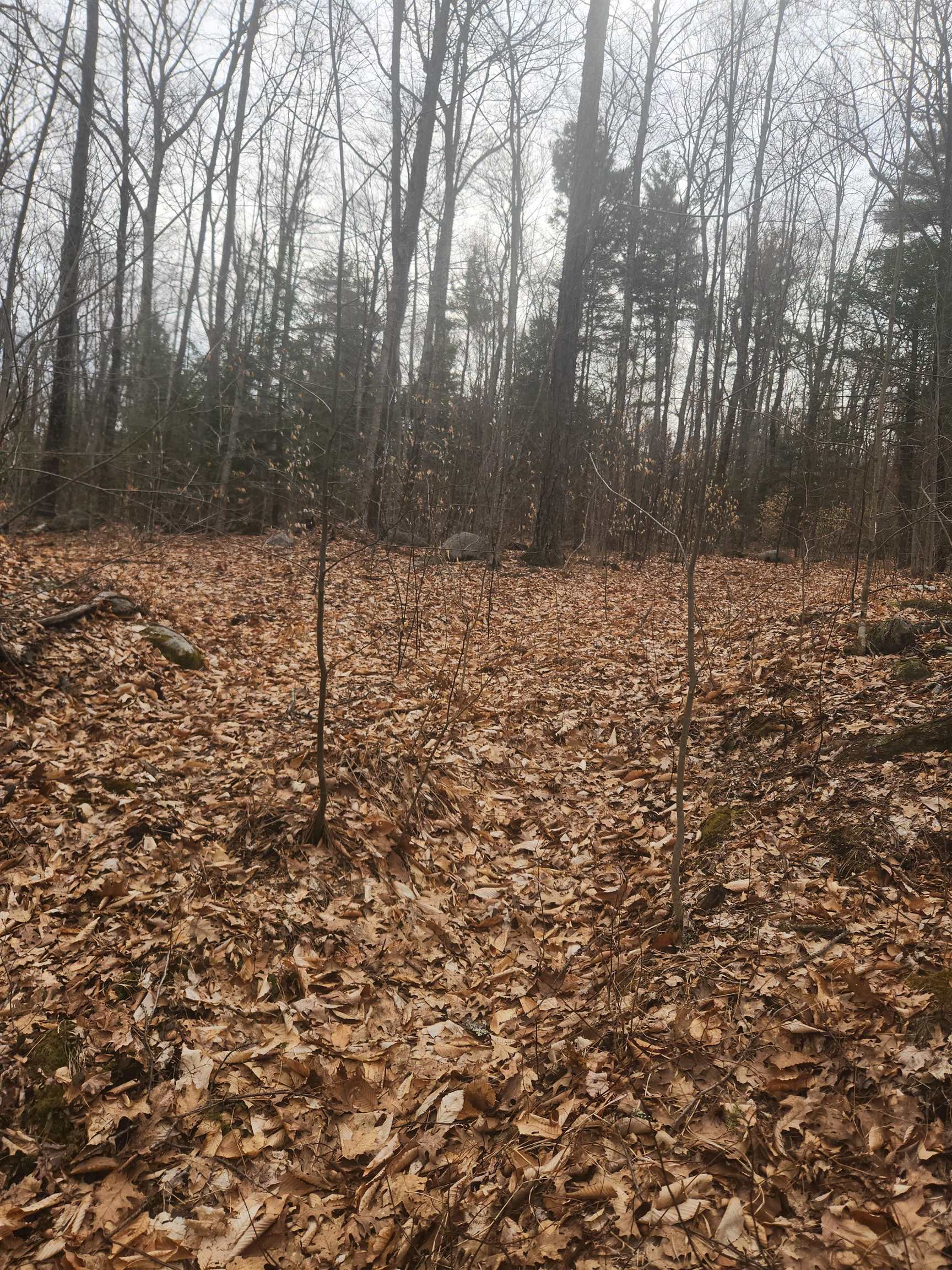 0 Attleboro Mountain Road Richmond, NH 03470 - Photo 2 of 2