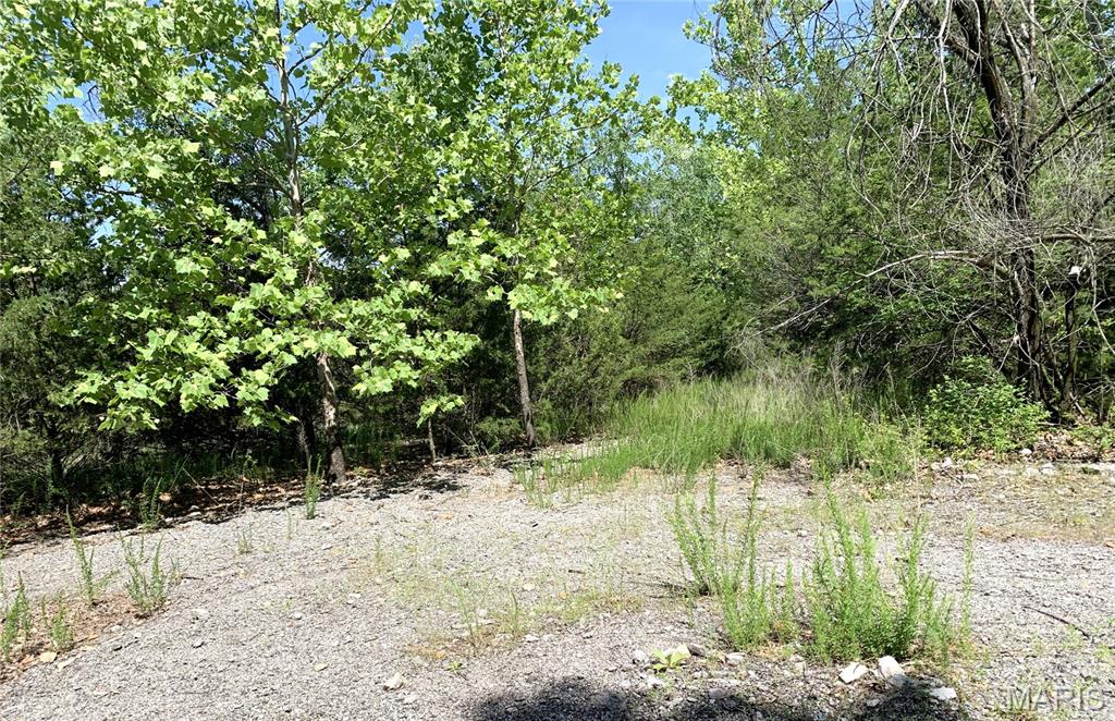 0 High Street Pacific, MO 63069 - Photo 20 of 25