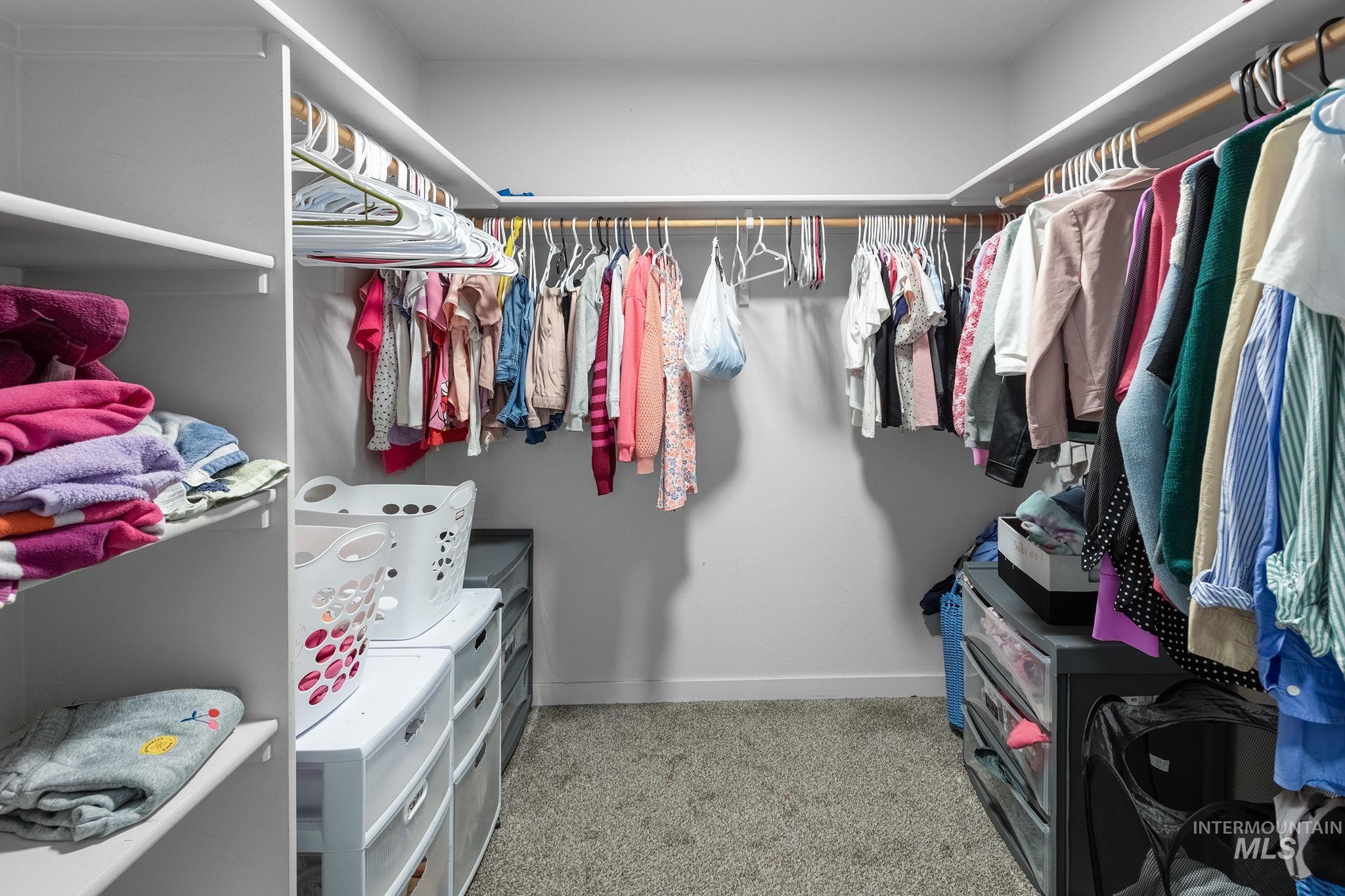 262 South Riggs Spg Avenue Meridian, ID 83642 - Photo 22 of 25 Walk in closet with light carpet