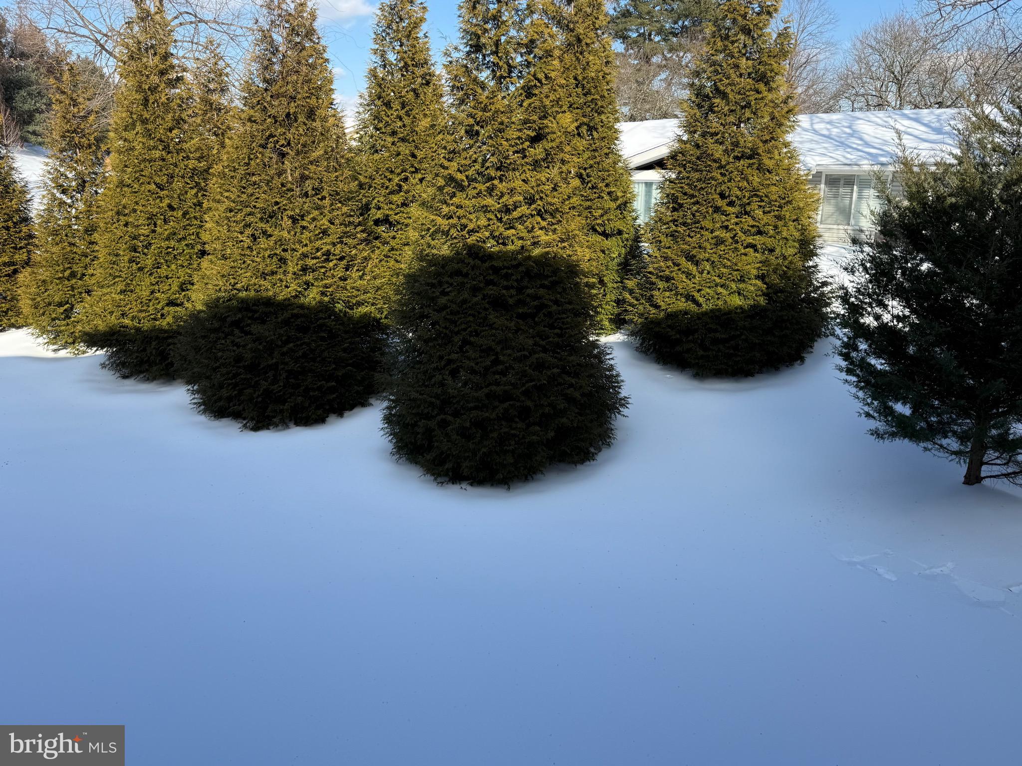 15401 Bassett Lane, Unit 452E Silver Spring, MD 20906 - Photo 11 of 31 a view of outdoor space and garden