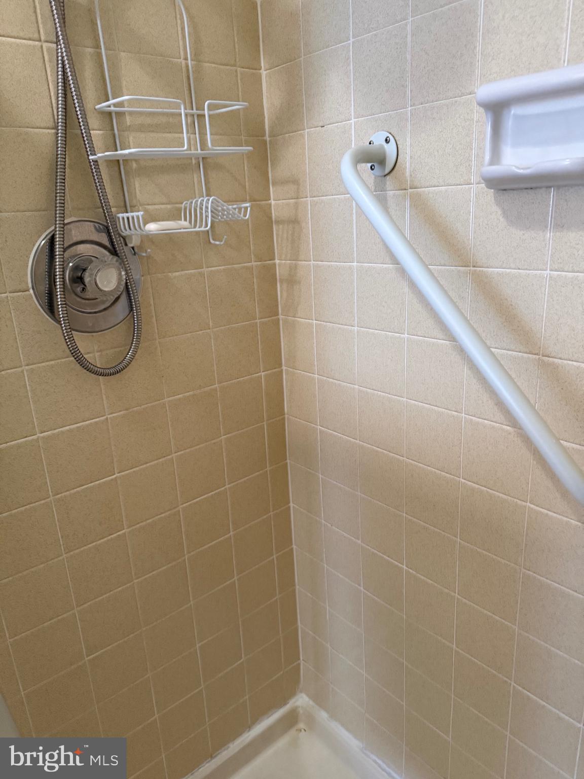 15401 Bassett Lane, Unit 452E Silver Spring, MD 20906 - Photo 23 of 31 a bathroom with a shower