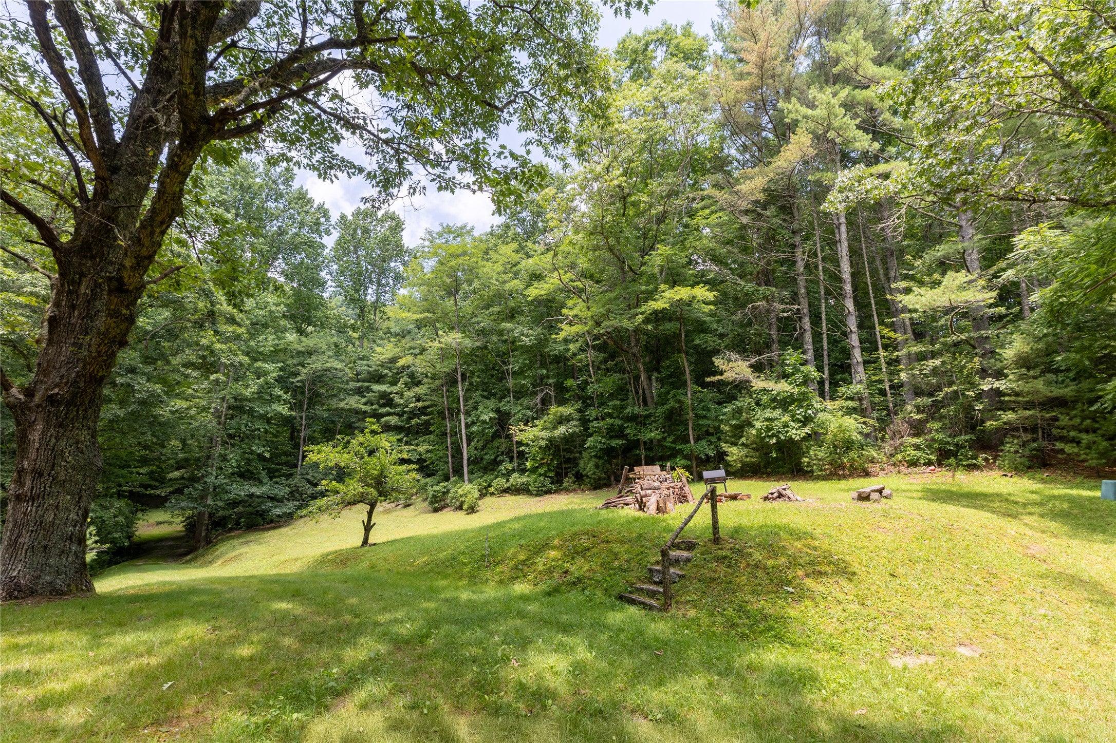 Tbd Aimless Hl Road Cashiers, NC 28717 - Photo 13 of 43 Gallery Image 13