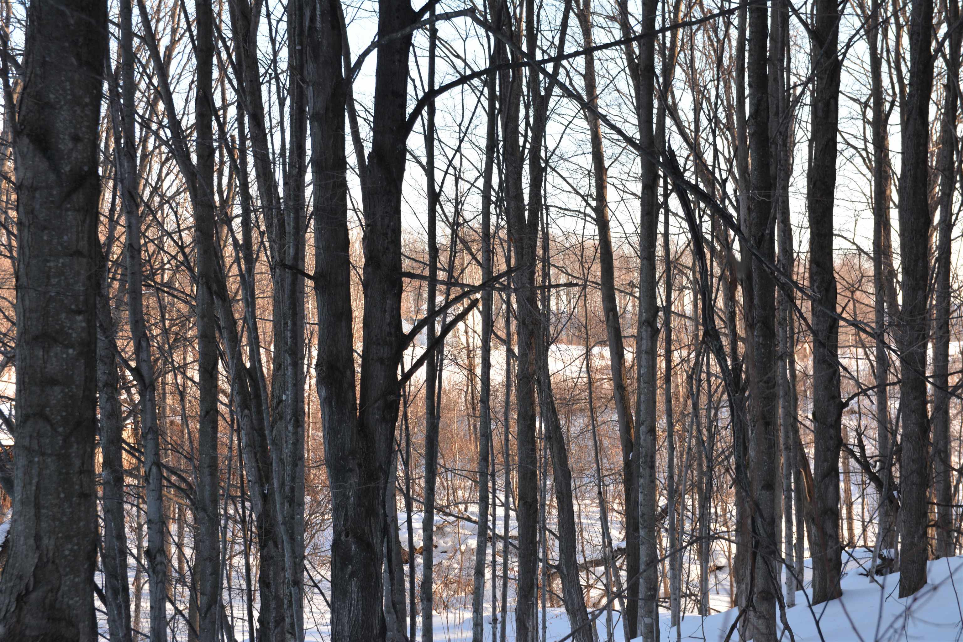 0 South Schomberg Road Cedar, MI 49621 - Photo 48 of 70