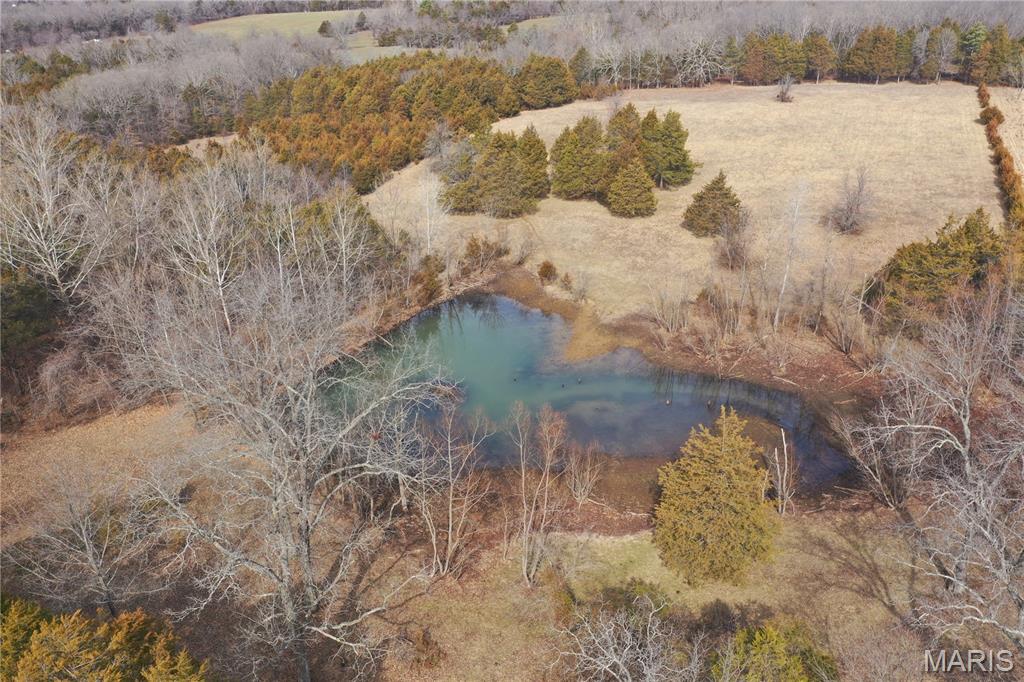 10399 Gibson Road Irondale, MO 63648 - Photo 61 of 72