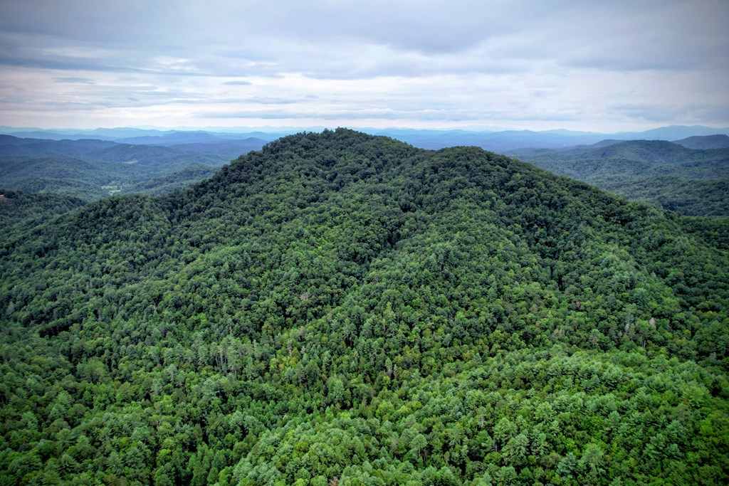 0 Flea Mountain Road Murphy, NC 28906 - Photo 41 of 54
