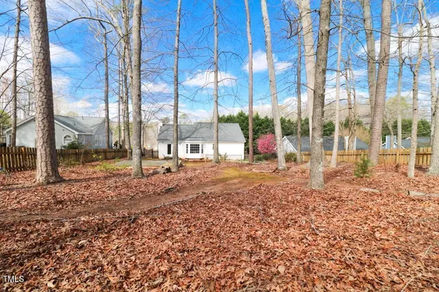 a view of tall trees with a yard