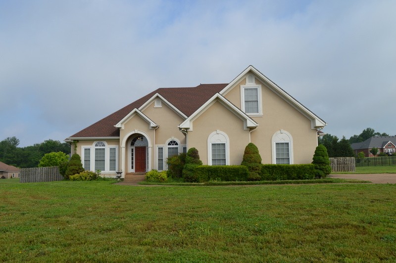 a front view of house with yard and green space