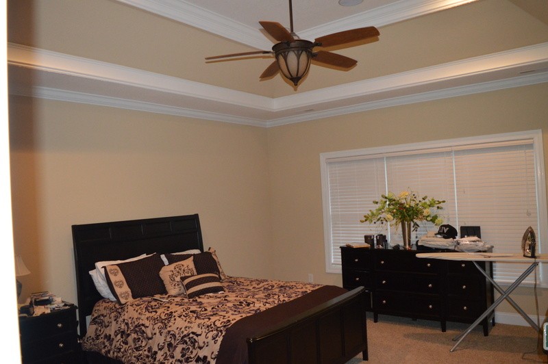 812 Little Springs Road Clarksville, TN 37040 - Photo 6 of 19 a bed room with a bed and a potted plant