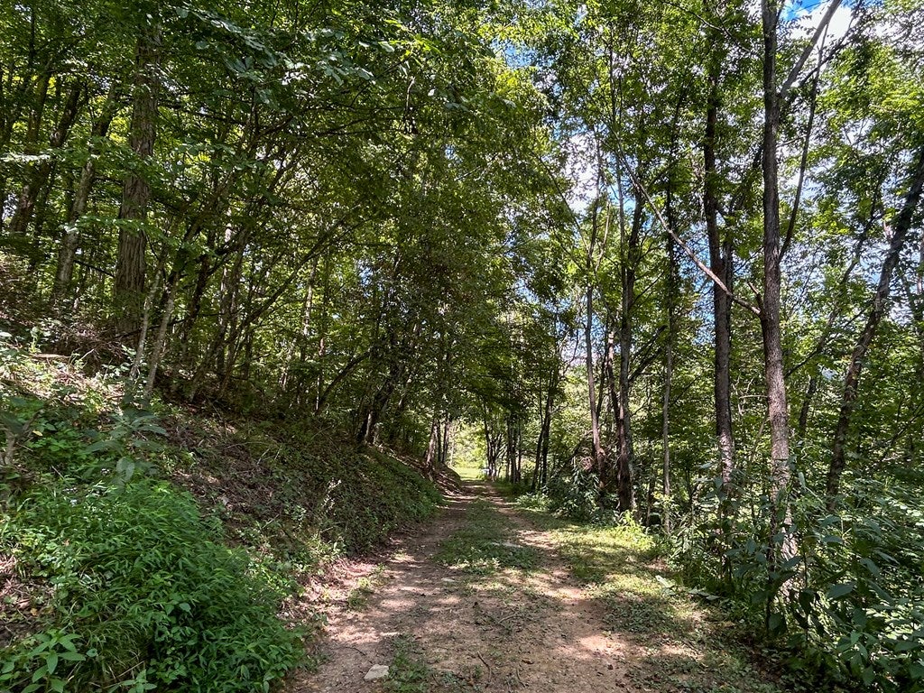 26-acres Tobler Road Rural Retreat, VA 24368 - Photo 41 of 60 Gallery Image 41