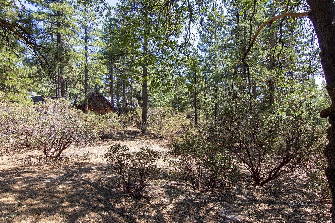 25308 Marion Ridge Drive Idyllwild, CA 92549 - Photo 31 of 34 Untitled