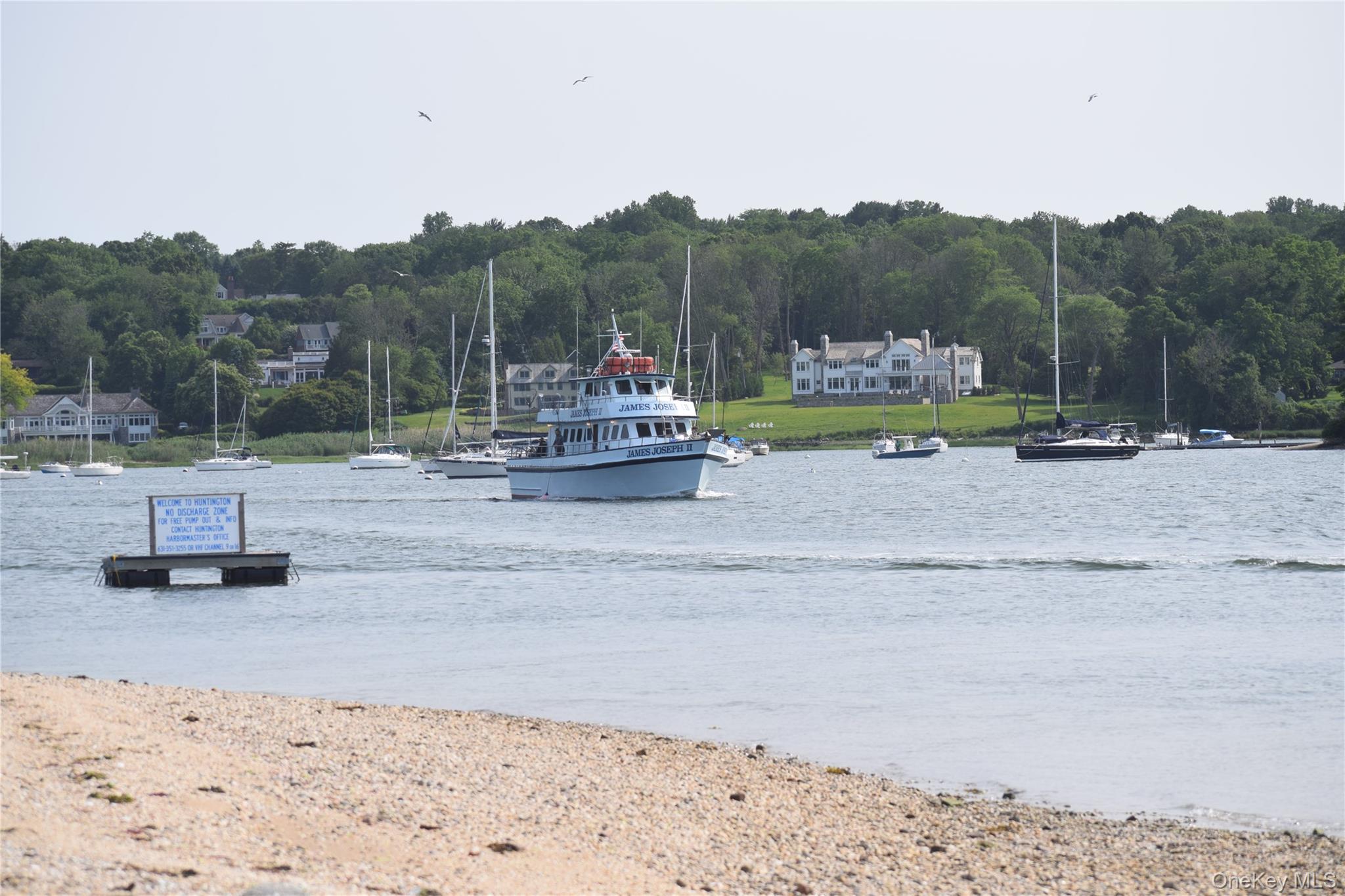 158 East Shore Road Huntington Bay, NY 11743 - Photo 8 of 50 a view of a park with a large tree