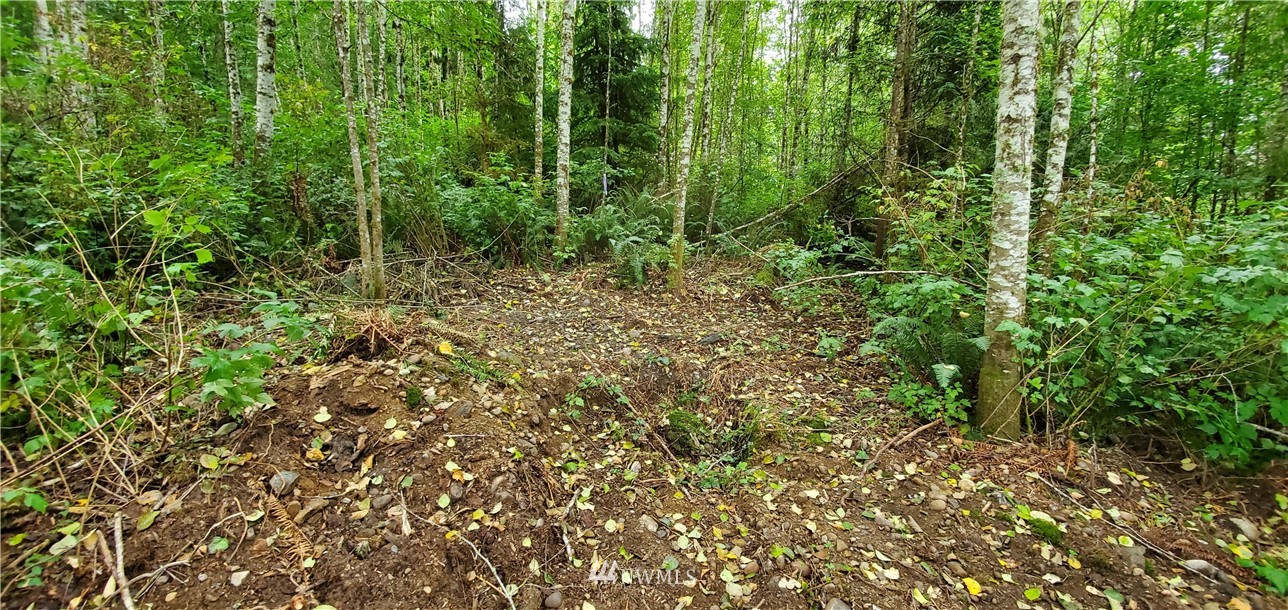 1959 Butler Creek Road Sedro-Woolley, WA 98284 - Photo 13 of 25