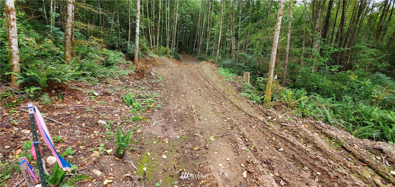 1959 Butler Creek Road Sedro-Woolley, WA 98284 - Photo 22 of 25