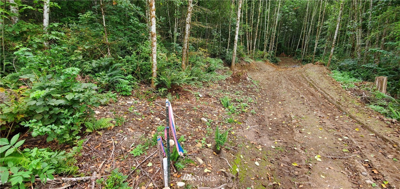 1959 Butler Creek Road Sedro-Woolley, WA 98284 - Photo 23 of 25