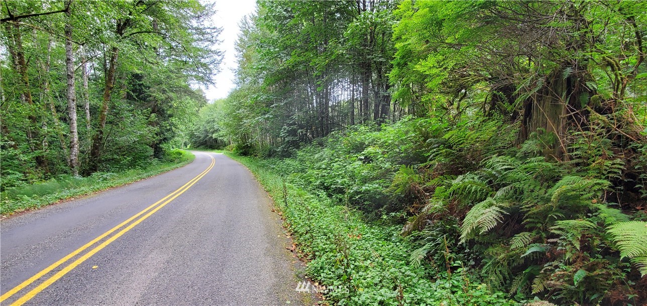 1959 Butler Creek Road Sedro-Woolley, WA 98284 - Photo 4 of 25