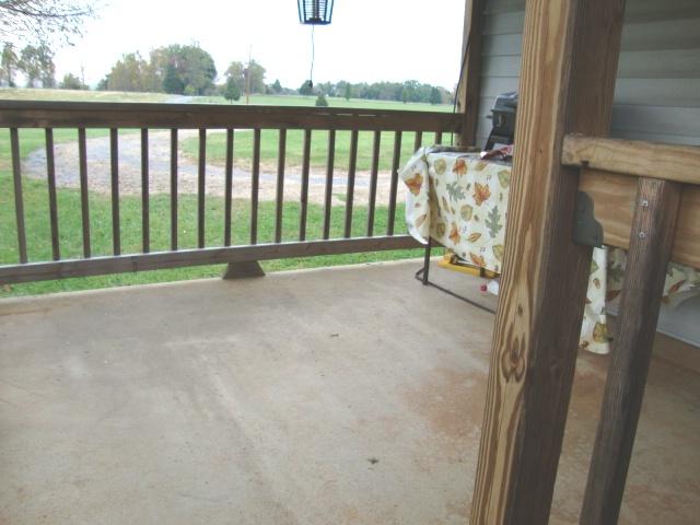 7891 Dickerson Mill Road Moneta, VA 24121 - Photo 15 of 17 Porch