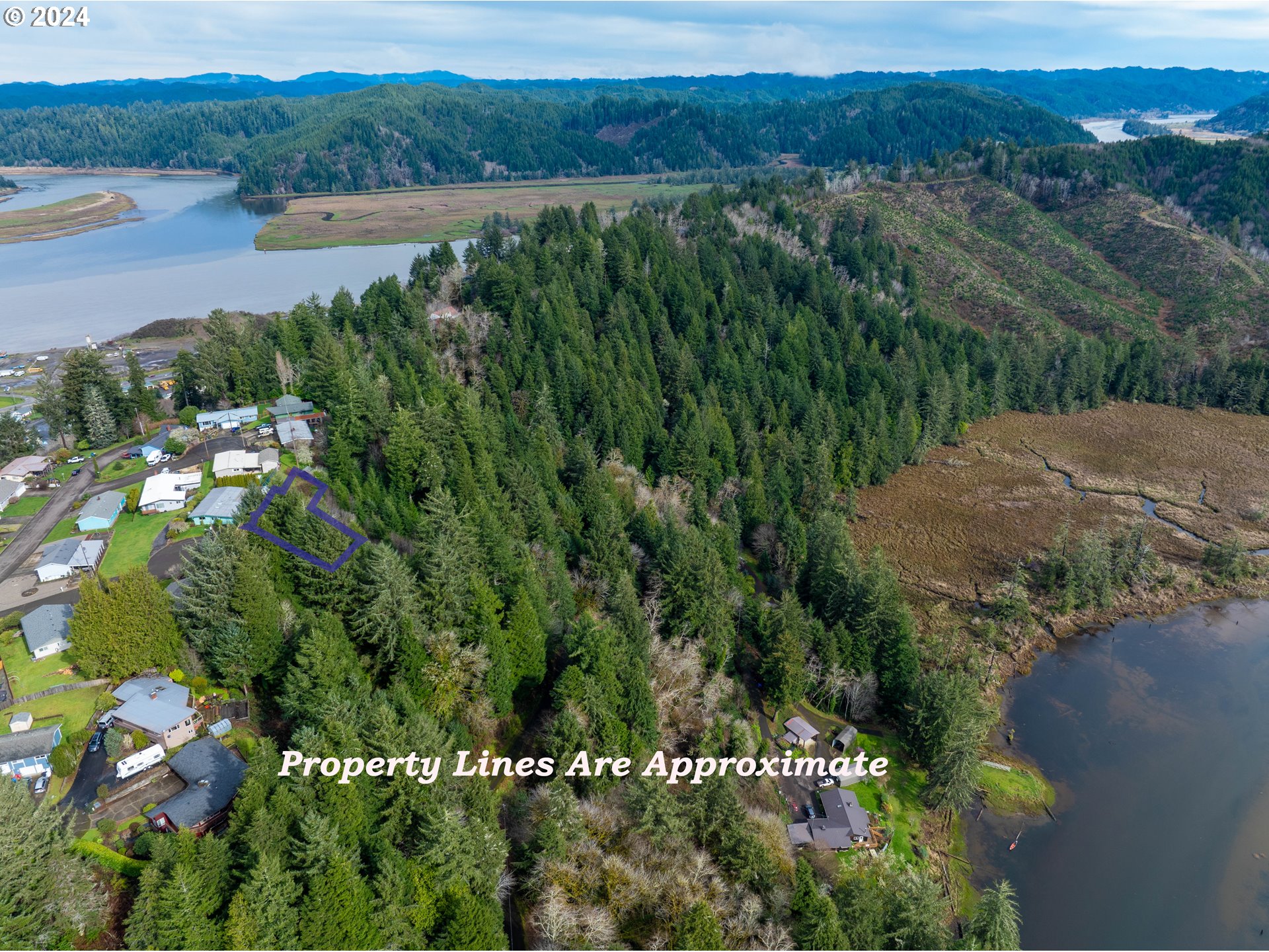 Crestview Drive Reedsport, OR 97467 - Photo 5 of 6 a view of lake and mountain