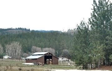 932 Moran Creek Road Colville, WA 99114 - Photo 2 of 19 Gallery Image 2