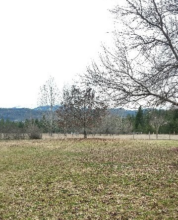 932 Moran Creek Road Colville, WA 99114 - Photo 16 of 19 Gallery Image 16