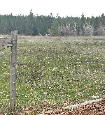 932 Moran Creek Road Colville, WA 99114 - Photo 17 of 19 Gallery Image 17