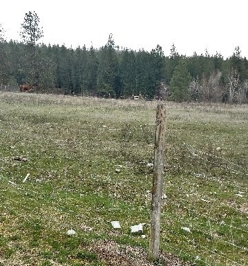 932 Moran Creek Road Colville, WA 99114 - Photo 19 of 19 Gallery Image 19
