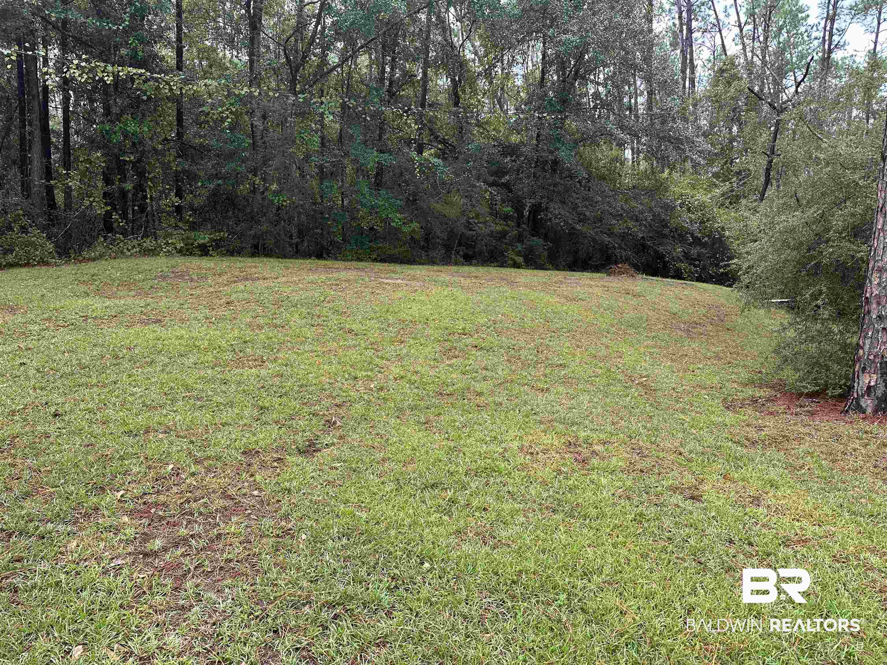 23417 Swift Road Elberta, AL 36530 - Photo 3 of 6