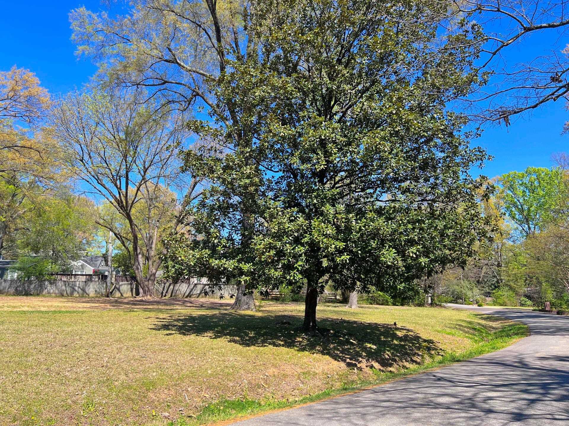 4948 Roane Road Memphis, TN 38117 - Photo 2 of 3 Gallery Image 2