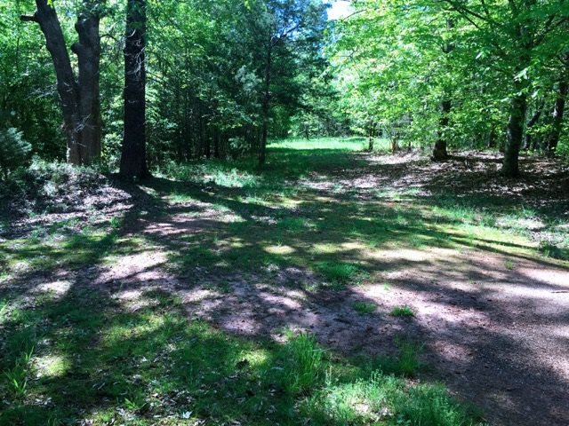 125 Griggs Road Six Mile, SC 29682 - Photo 1 of 12