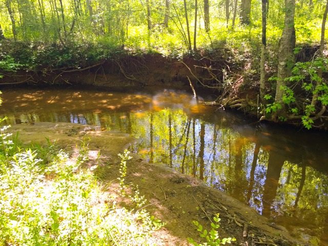125 Griggs Road Six Mile, SC 29682 - Photo 11 of 12