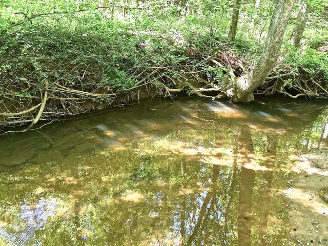 125 Griggs Road Six Mile, SC 29682 - Photo 3 of 12