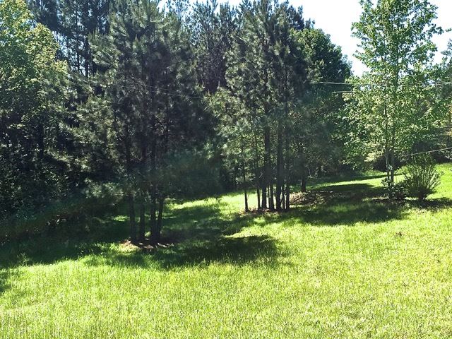 125 Griggs Road Six Mile, SC 29682 - Photo 4 of 12