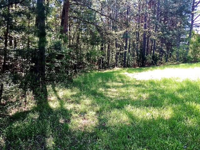 125 Griggs Road Six Mile, SC 29682 - Photo 5 of 12
