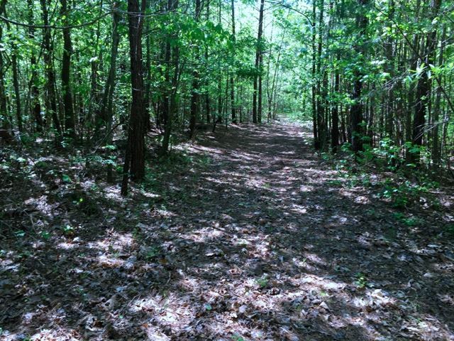 125 Griggs Road Six Mile, SC 29682 - Photo 6 of 12