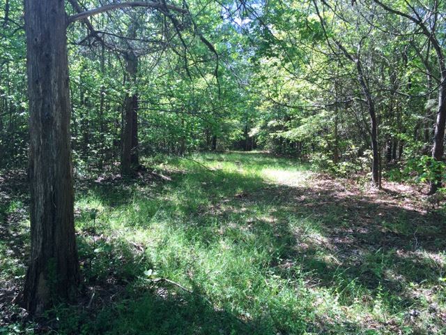 125 Griggs Road Six Mile, SC 29682 - Photo 7 of 12
