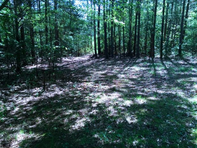 125 Griggs Road Six Mile, SC 29682 - Photo 8 of 12