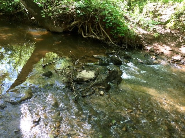 125 Griggs Road Six Mile, SC 29682 - Photo 10 of 12