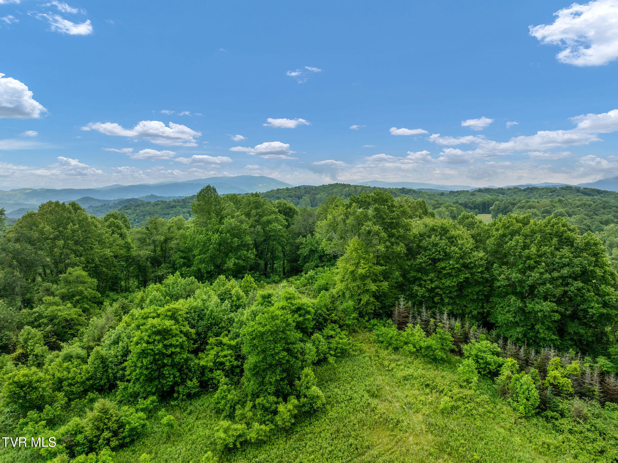 Tbd Walnut Mountain Road Butler, TN 37640 - Photo 14 of 36 DJI_0428