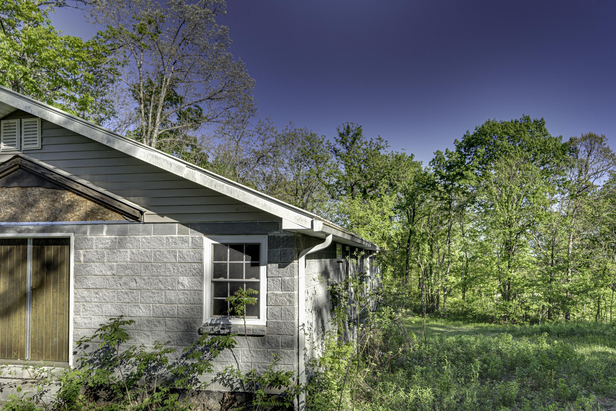 872 Motes Road Spring City, TN 37381 - Photo 20 of 21 a backyard of a house with lots of green space