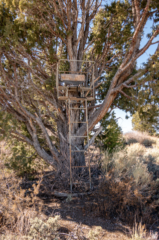 1955 West Mammoth Crk Road Hatch, UT 84735 - Photo 20 of 52 Hunting stand in tree