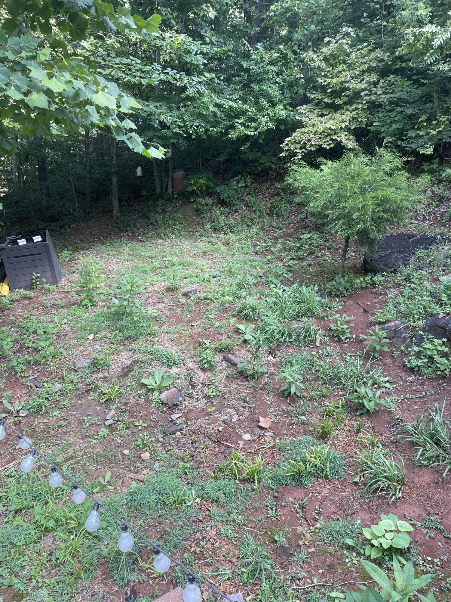 609 Blue Springs Road Elizabethton, TN 37643 - Photo 7 of 9 IMG_3007