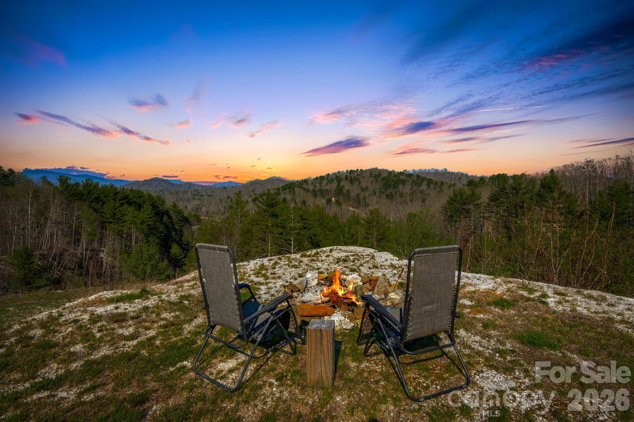 4530 Double Island Road Green Mountain, NC 28740 - Photo 3 of 48