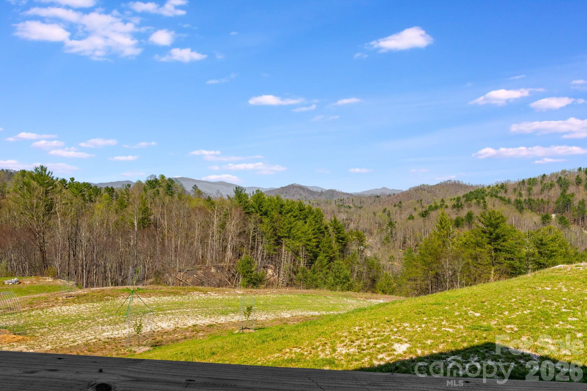 4530 Double Island Road Green Mountain, NC 28740 - Photo 41 of 48