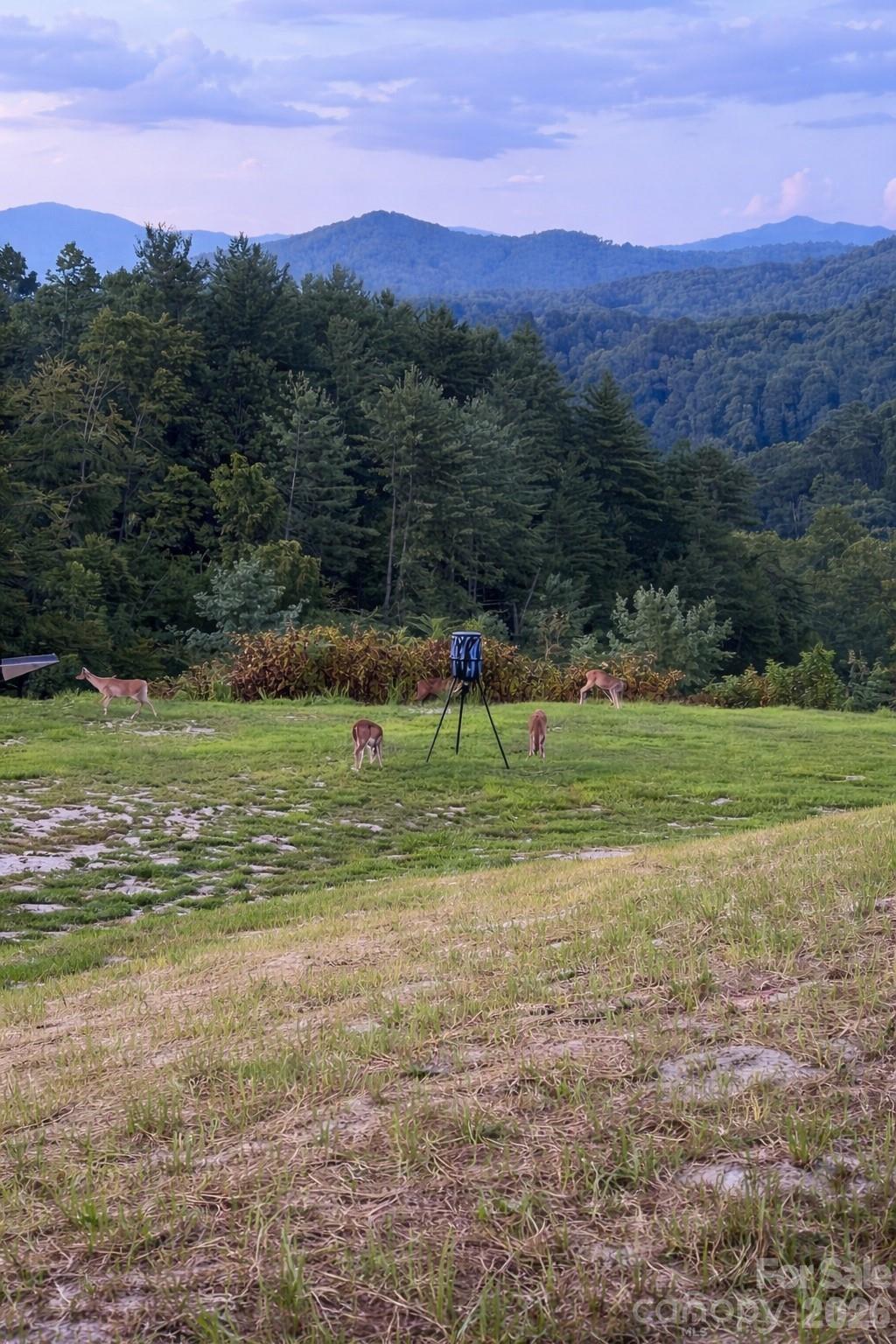 4530 Double Island Road Green Mountain, NC 28740 - Photo 42 of 48
