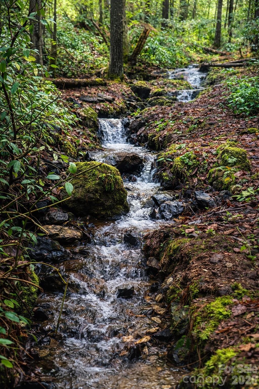 4530 Double Island Road Green Mountain, NC 28740 - Photo 43 of 48
