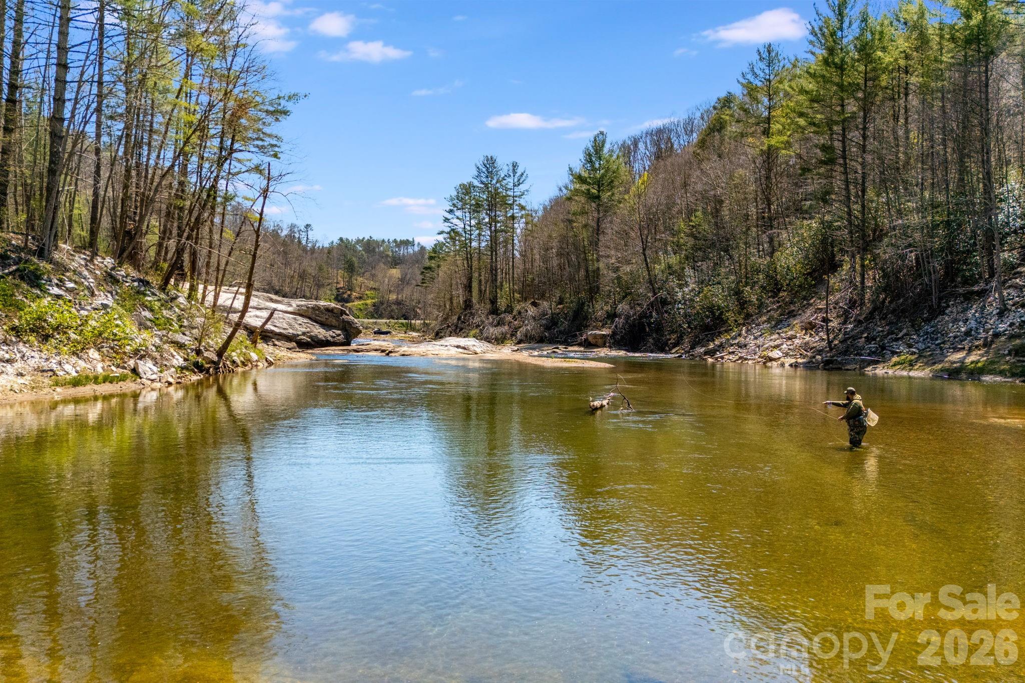 4530 Double Island Road Green Mountain, NC 28740 - Photo 5 of 48