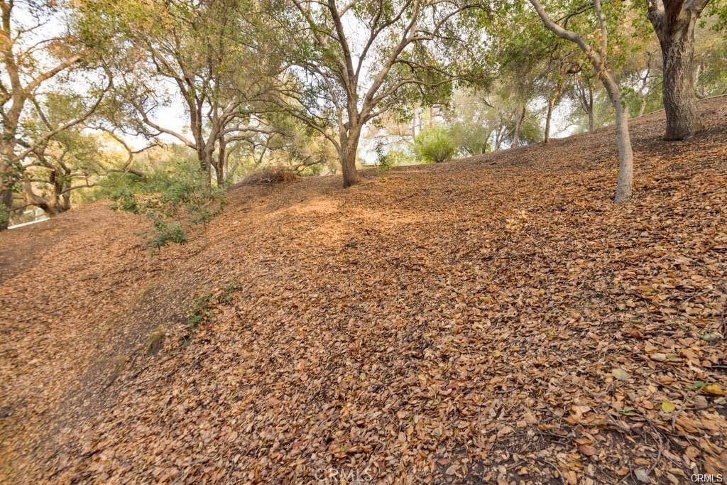 0 Elzevir Road Woodland Hills, CA 91364 - Photo 15 of 30 a view of a yard with trees