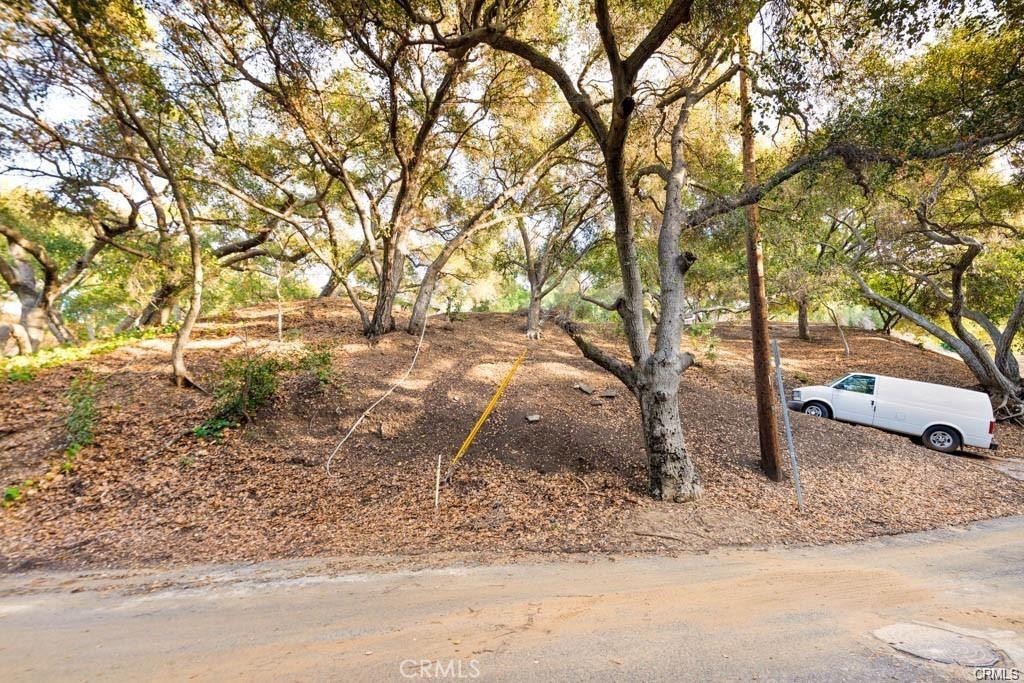 0 Elzevir Road Woodland Hills, CA 91364 - Photo 19 of 30 a backyard of a house with lots of trees